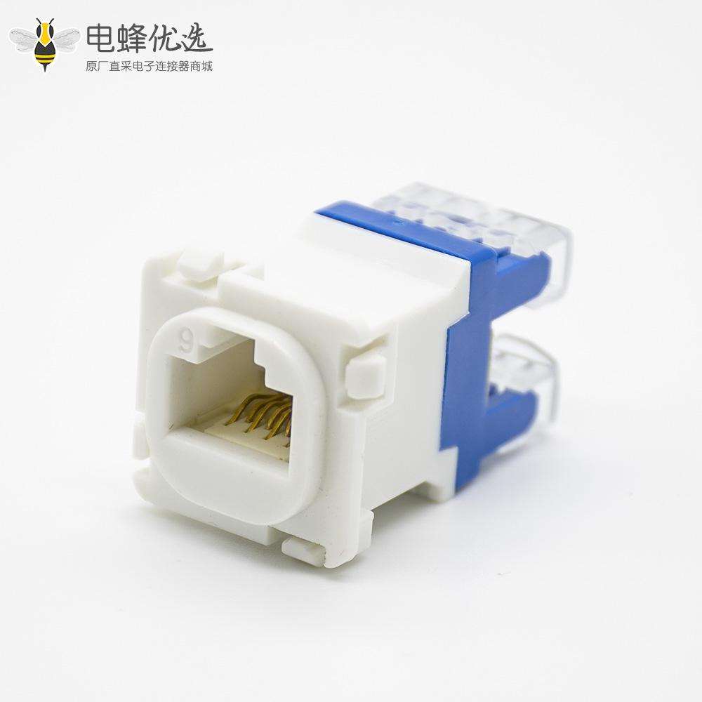 RJ45信息插座六类非屏蔽8芯网络接口模块触头镀金插座