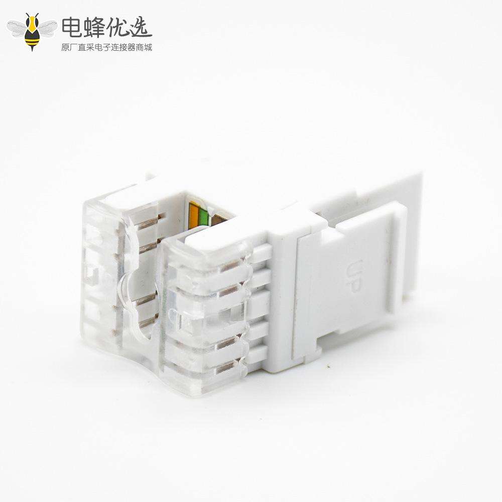 直式RJ45插座不带屏蔽Cat6六类网络模块单端口插孔