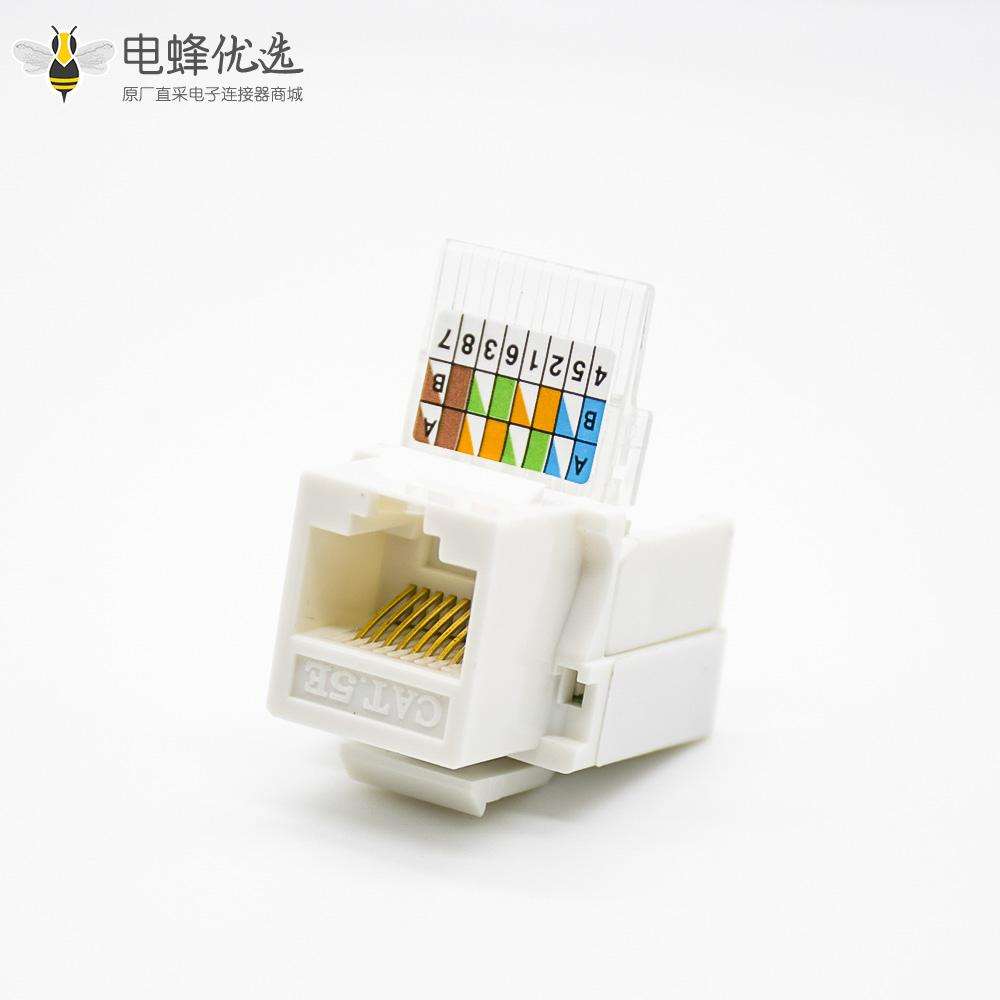 RJ45接口触头镀金弯式面板安装用于超五类线材8P8C单端口插座