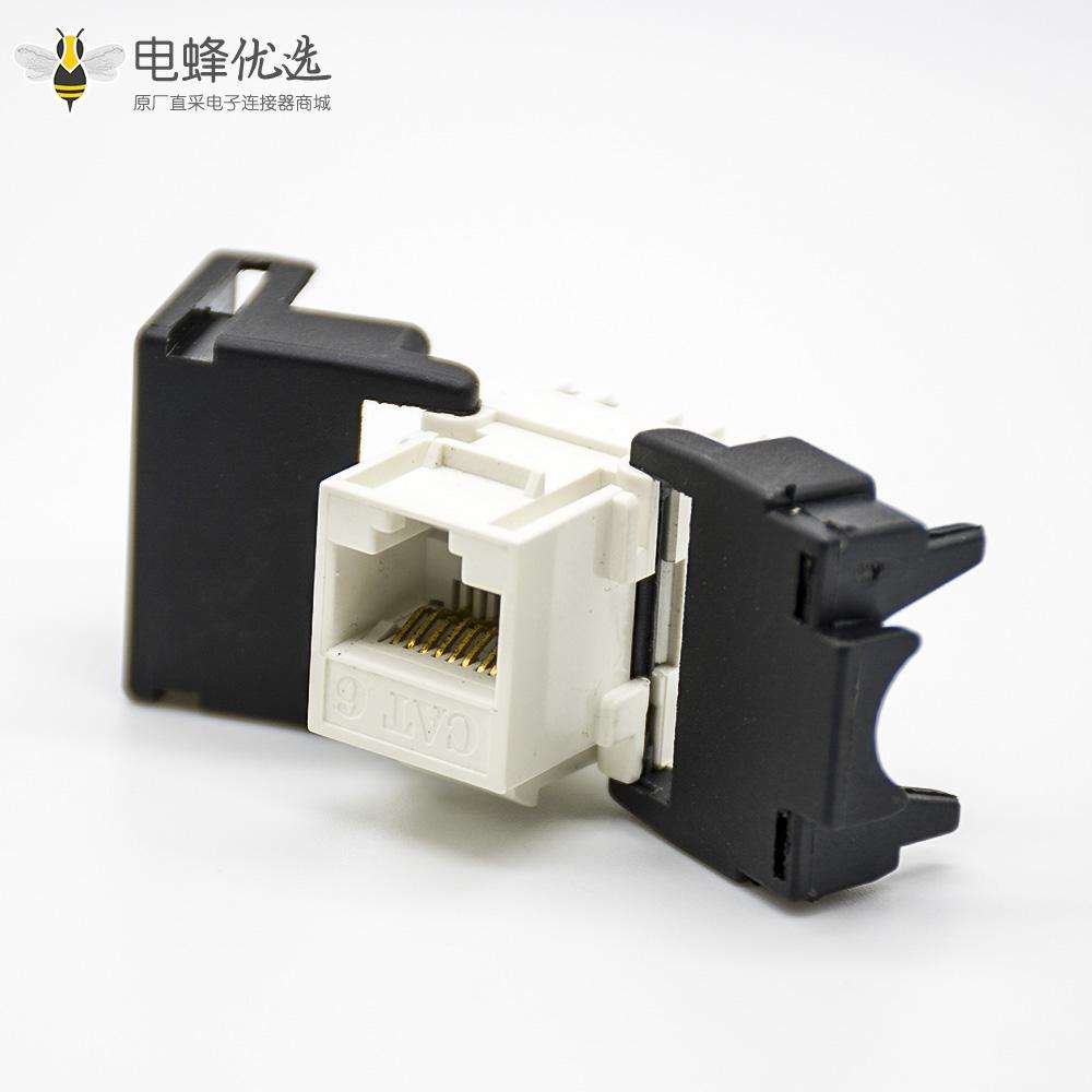 RJ45网口插座8芯六类线材直式不带屏蔽网络模块化连接器