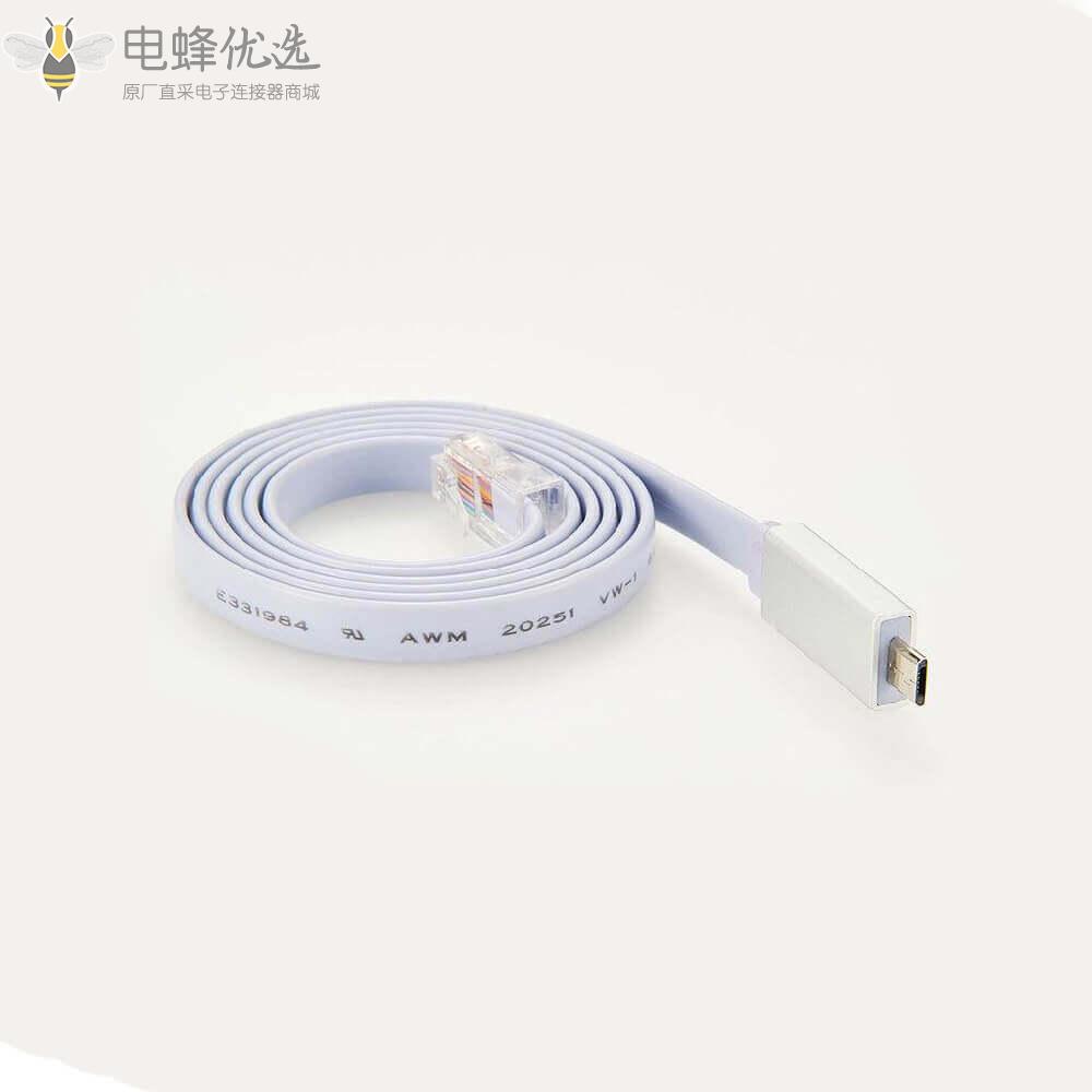 USB_type_C转RJ45接2米线材生产厂家直销