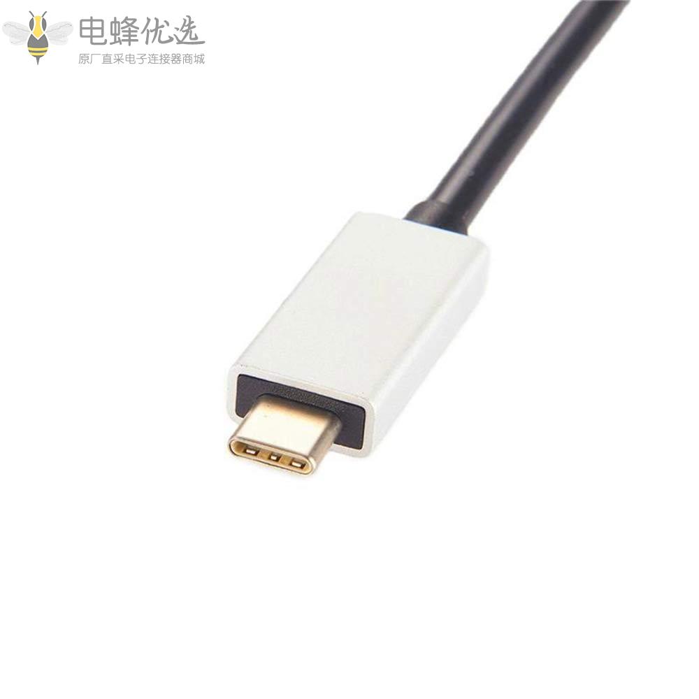 USB_Type_C转RS485_FTDI_UART转换单边电缆带有线端1米