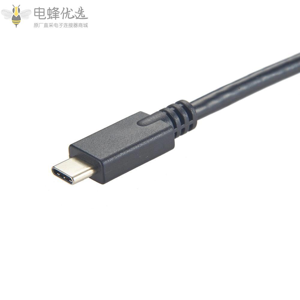 USB_3.1_Type_C公头转Type_C公头