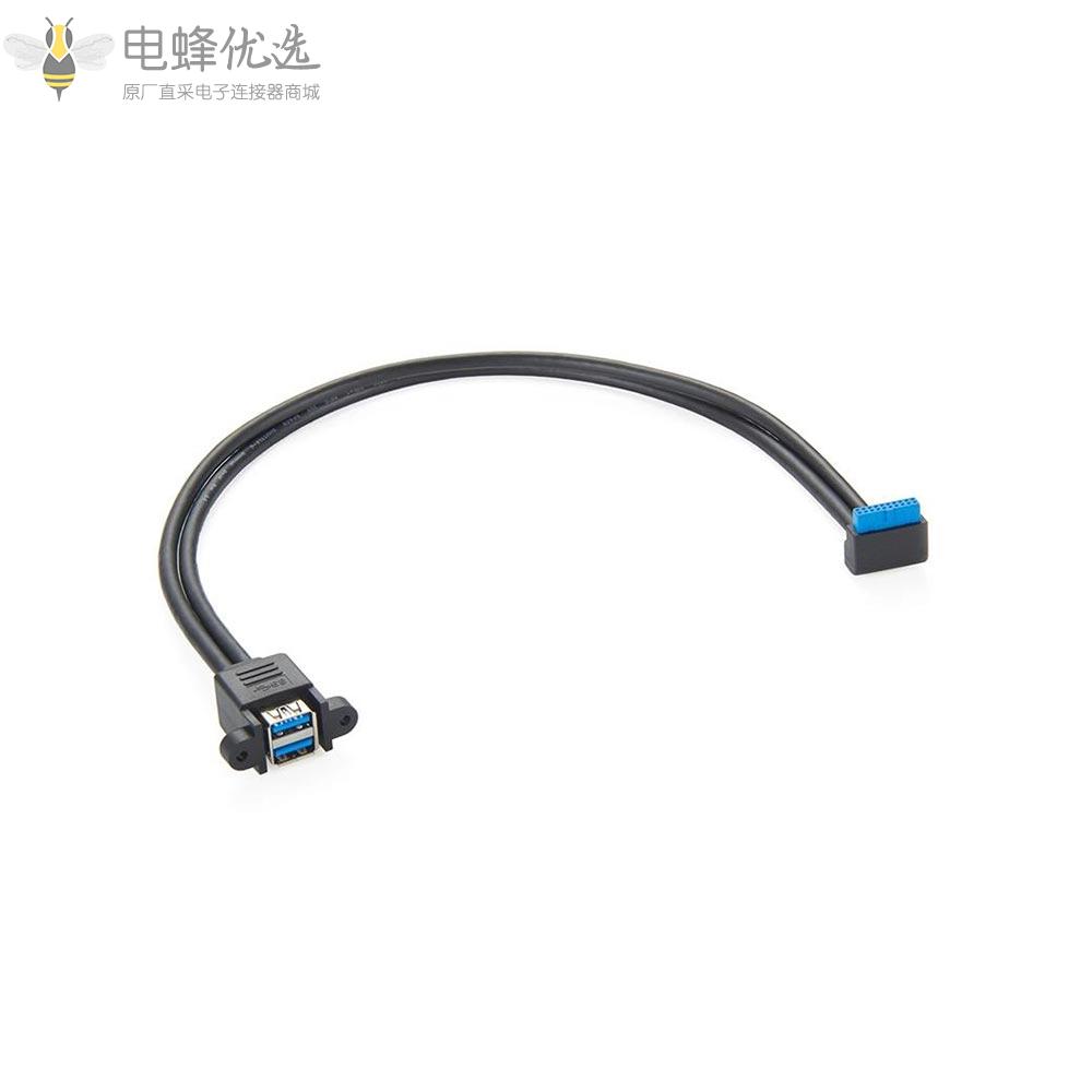 主板19pin_20Pin转USB3.0数据线台式机19针20针转双USB延长线线带固定螺丝孔后置挡板线20P/19P转2口转接线弯头50cm