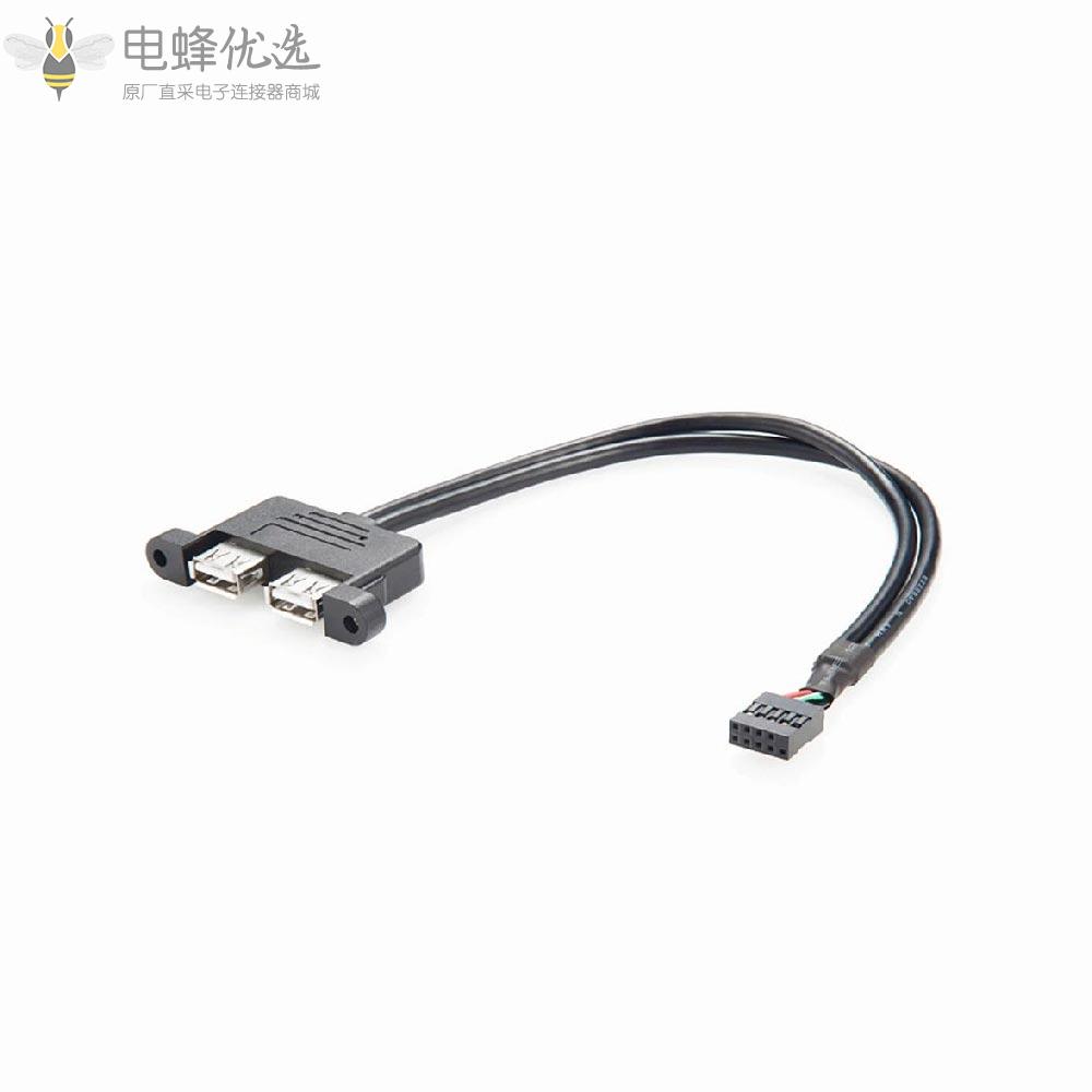 面板安装USB_2.0_Type_A双母头转9P接头连接器数据传输延长线计算机数据线30厘米