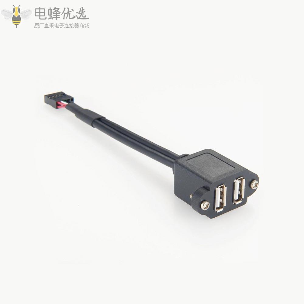 面板安装双USB_A型2.0插座转10P接头2合1线延长线20cm