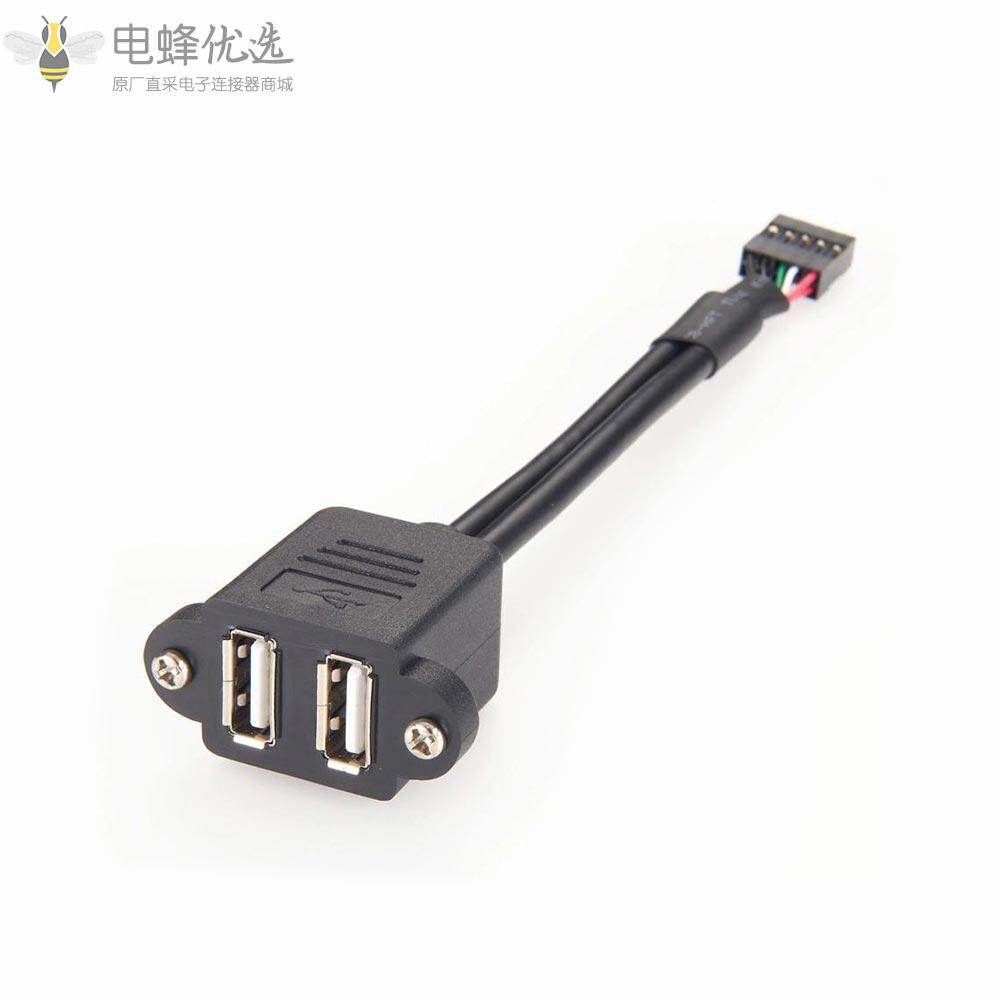 面板安装双USB_A型2.0插座转10P接头2合1线延长线20cm