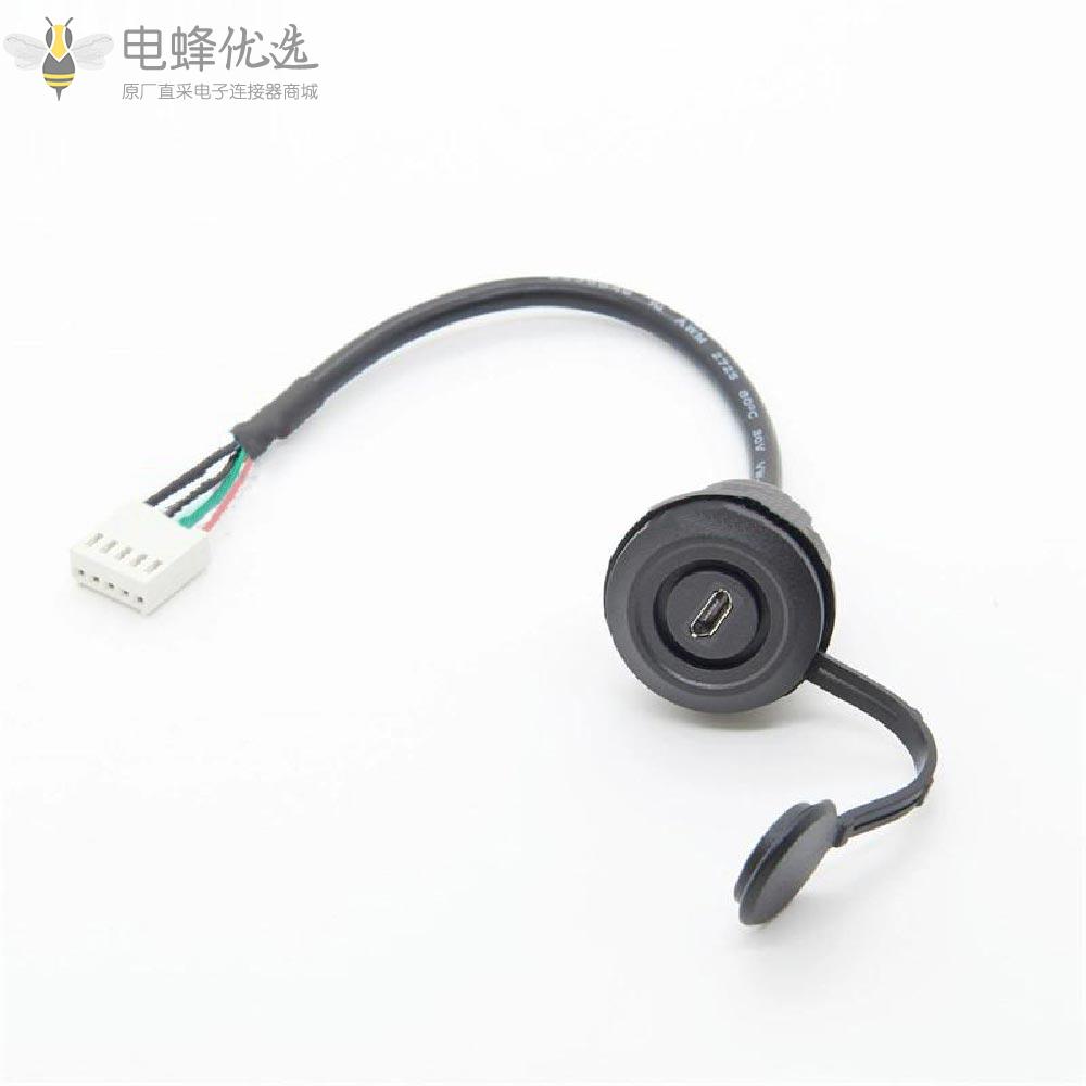带盖帽的微型USB插座转PH2.0_5P间距2.0毫米连接器主板杜邦转接线接30厘米线缆