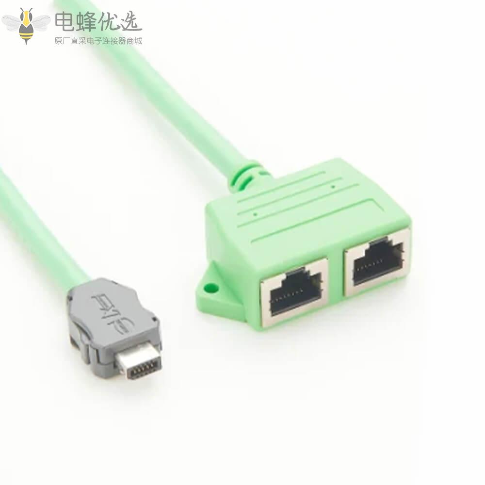 DP转双RJ45面板安装2端口线缆