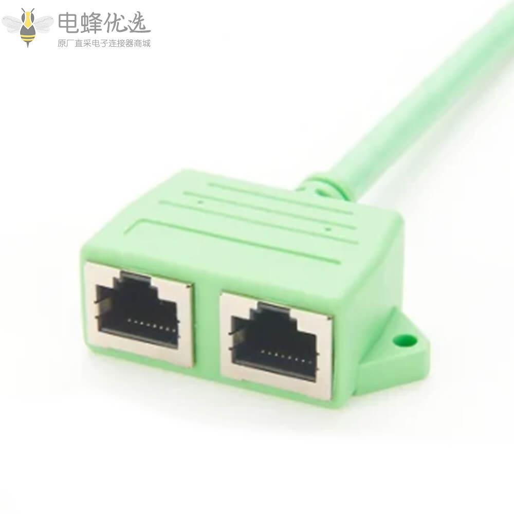 DP转双RJ45面板安装2端口线缆