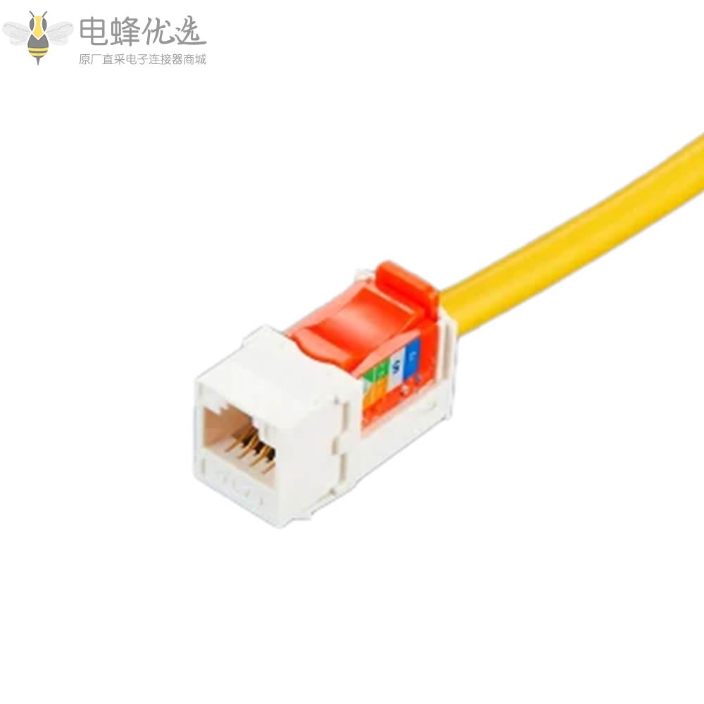 RJ45_CAT6公插头转母插座以太网延长线接30厘米连接线