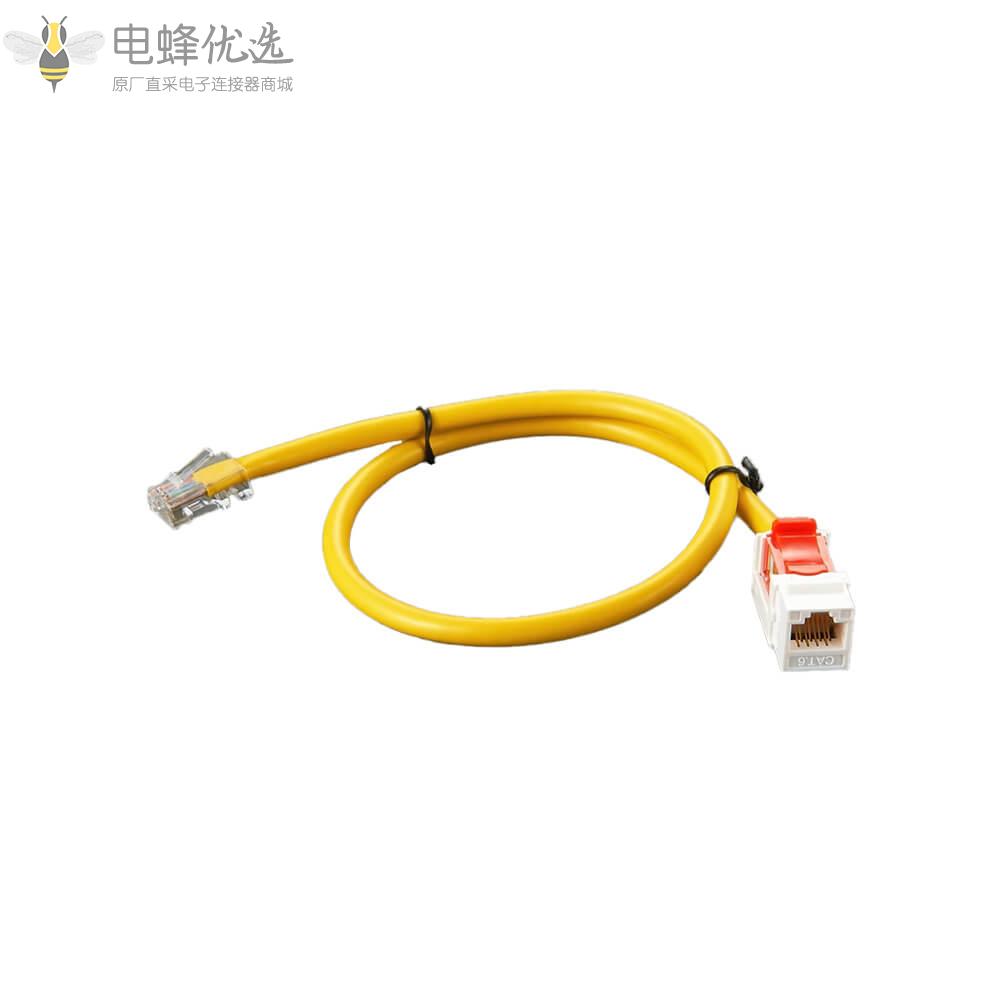 RJ45_CAT6公插头转母插座以太网延长线接30厘米连接线