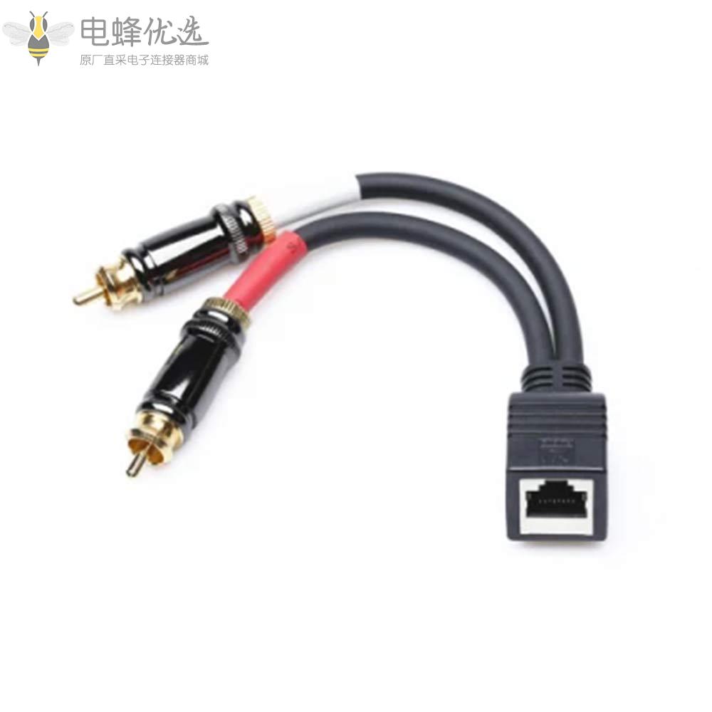 RJ45母头转双RCA公头适配器电缆接0.25M连接线适用于Axia