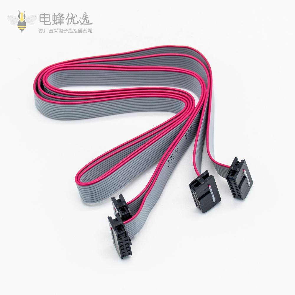 2mm间距排线2x5针10针10线IDC扁平带状电缆长度45CM连接器