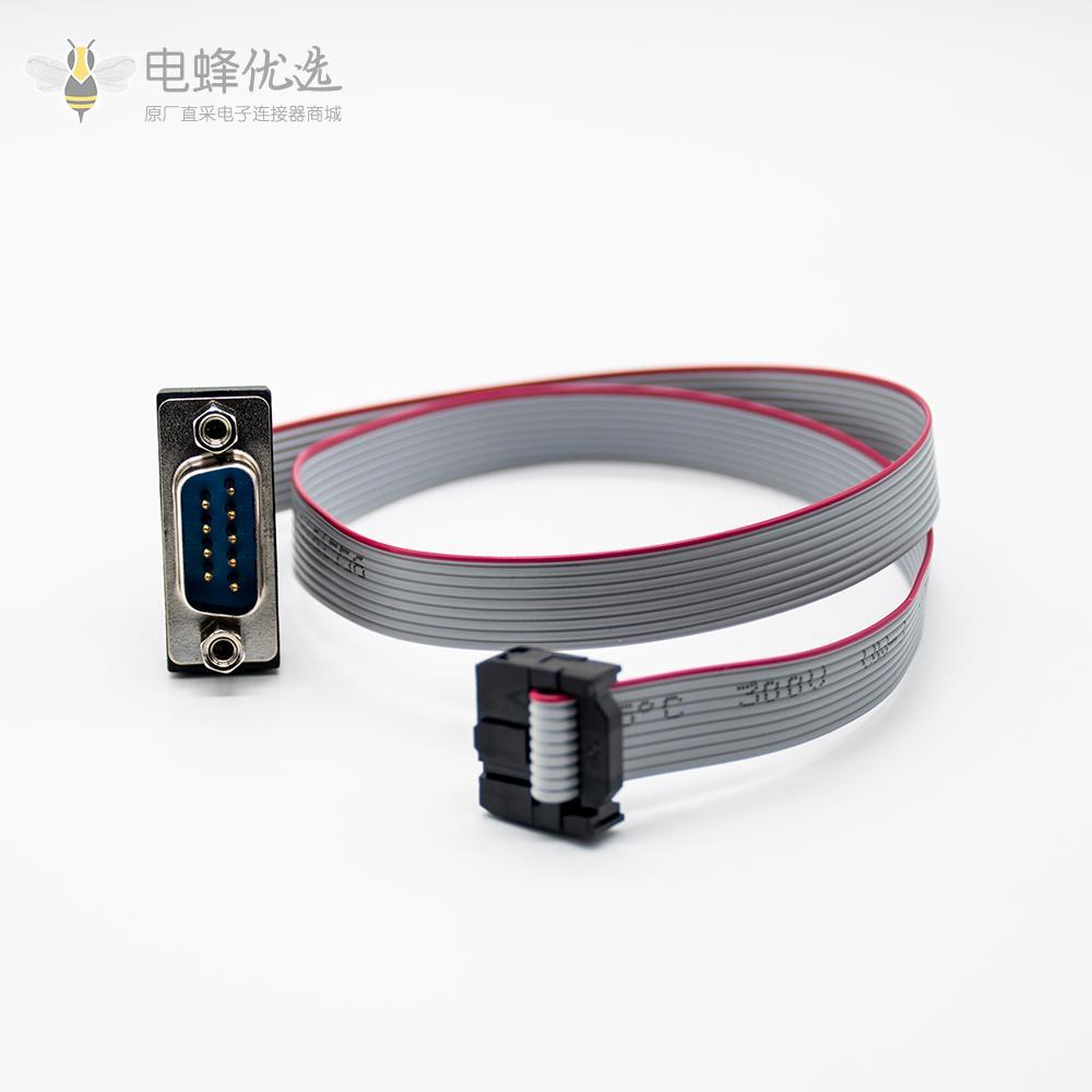 D-SUB 9 pin转10 Pin 端子带排线
